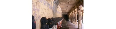 100. திருத்துருத்தி